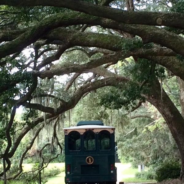 10/21/2015 tarihinde B R.ziyaretçi tarafından Charleston Tea Plantation'de çekilen fotoğraf
