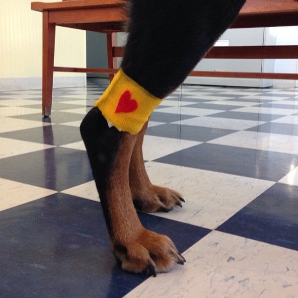 veterinary specialists & emergency service