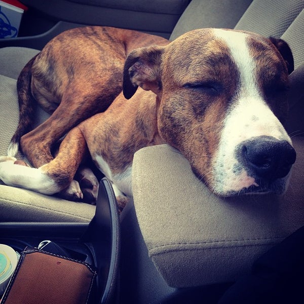 The Village Shoppes at Canton Canton, MA