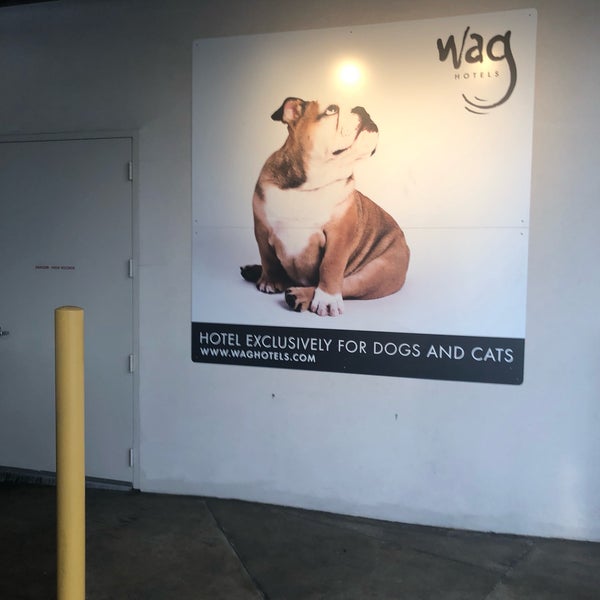 Photo taken at WAG Hotel by Wilfred W. on 8/9/2019