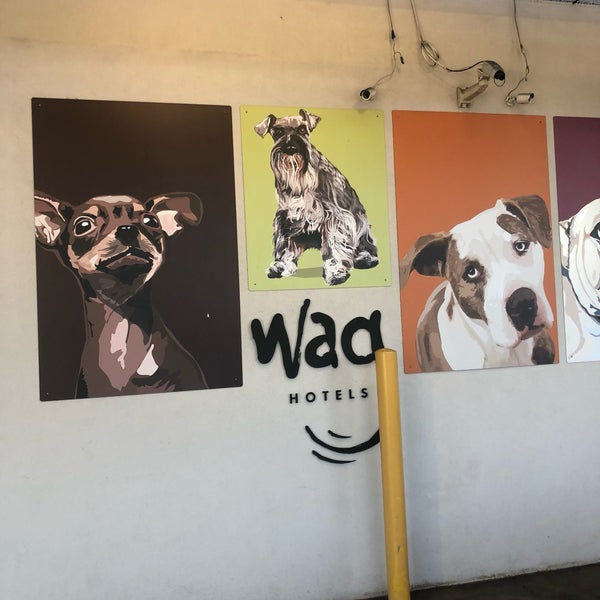 Photo taken at WAG Hotel by Wilfred W. on 8/31/2019