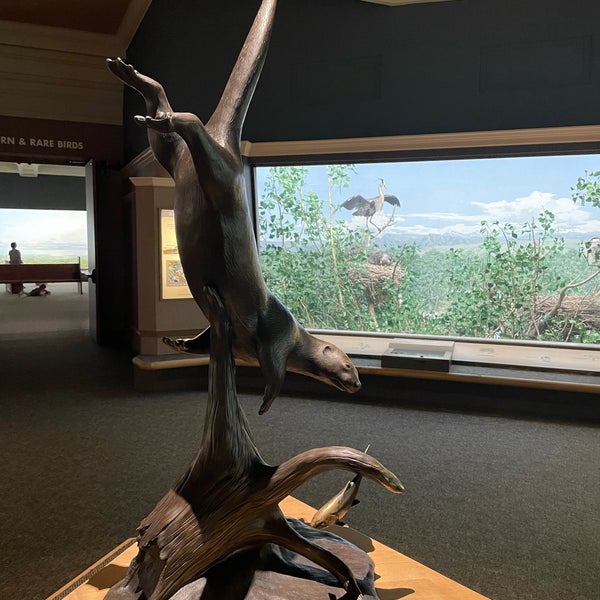 6/20/2021에 Thomas S.님이 Denver Museum of Nature and Science에서 찍은 사진