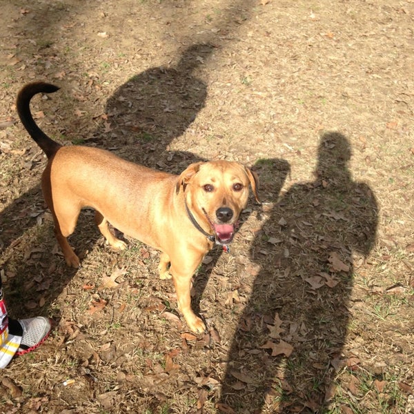 Fotos en Raising Cane's Dog Park Parque para perros en Baton Rouge