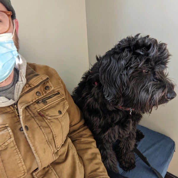 Animal Ark Veterinary Northwest Side Chicago, IL