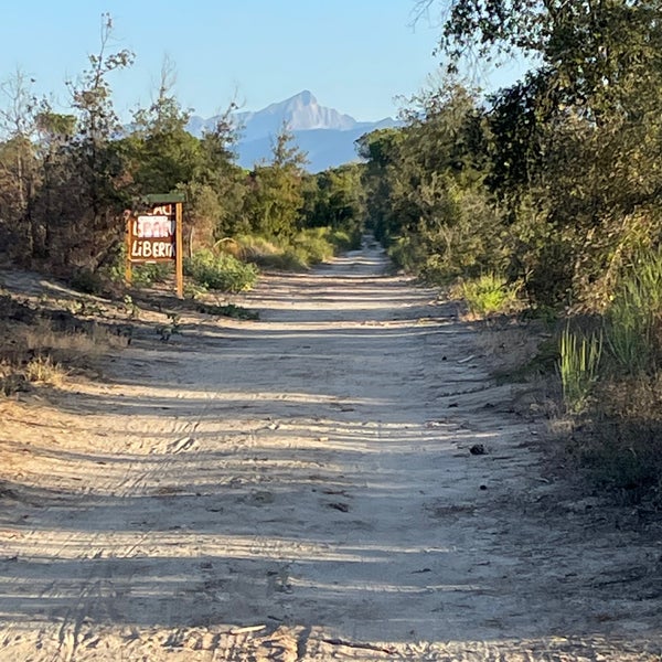 Spiaggia Libera di Torre del Lago