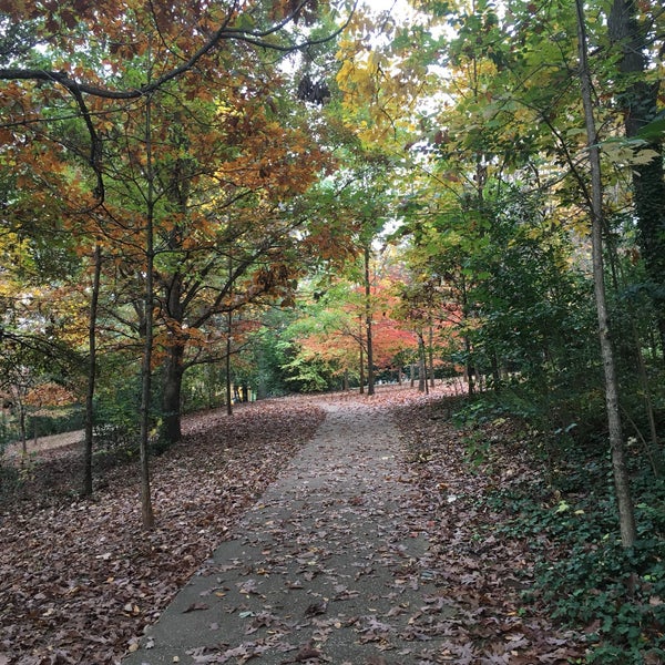 Photos at Latta Park Park in Charlotte