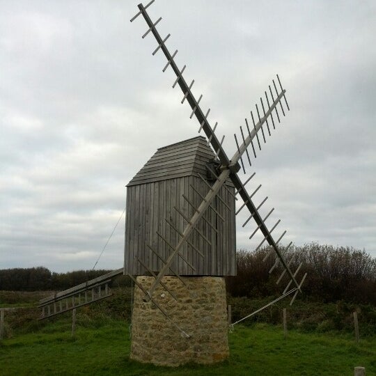 Moulin Brush
