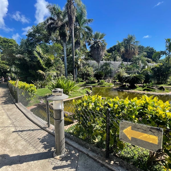 Photo taken at Honolulu Zoo by Doctor K. on 1/9/2022