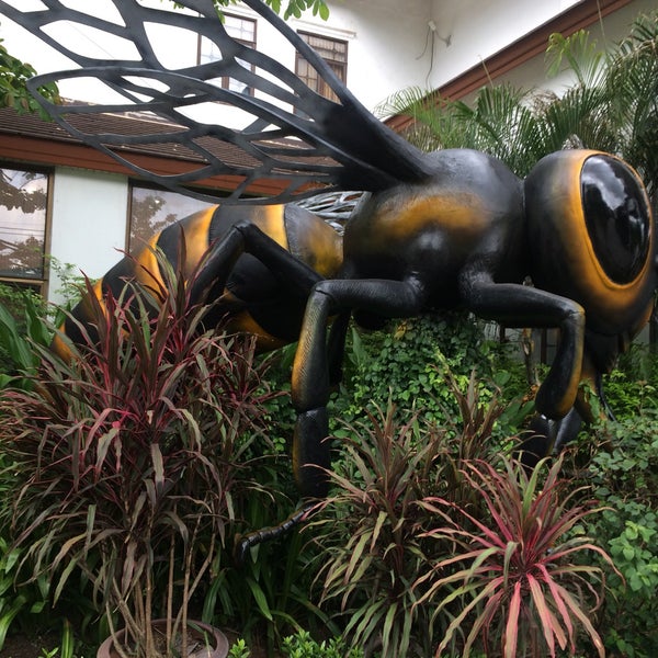 5/4/2017에 Yaldaa M.님이 Big Bee Farm (Pattaya)에서 찍은 사진