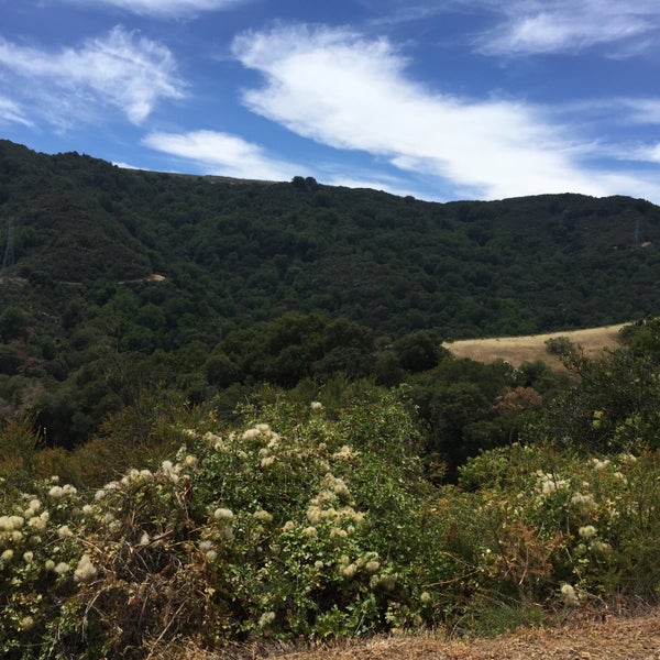 Upper Meadow