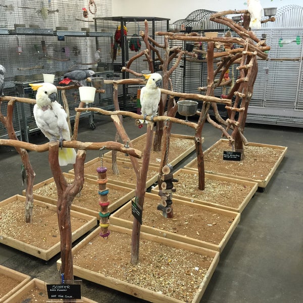 Bird Smart Kearny Mesa 6 tips from 123 visitors