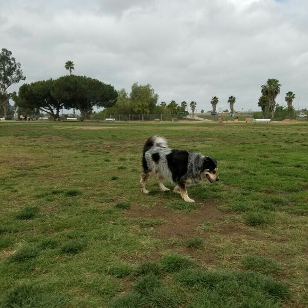 Photos at Orange Dog Park 23 tips from 560 visitors