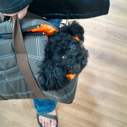 Ulta Beauty Cosmetics Store