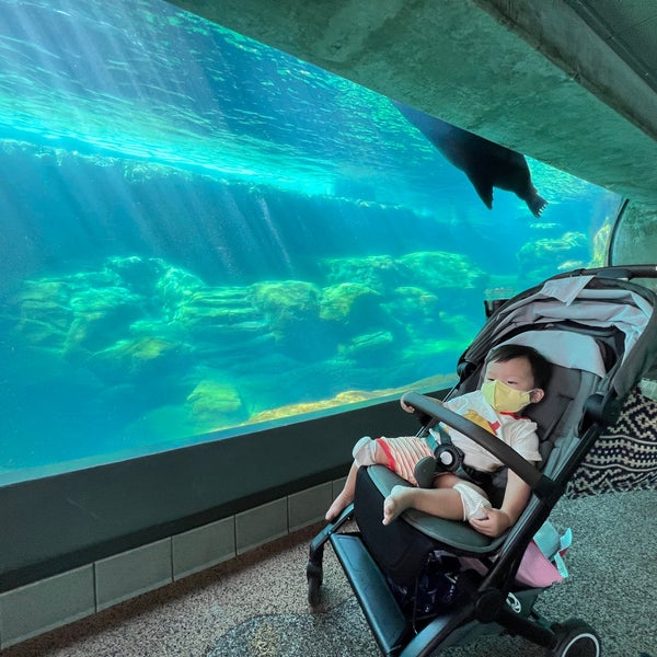Foto tirada no(a) Aquarium of the Pacific por Sean K. em 9/16/2022