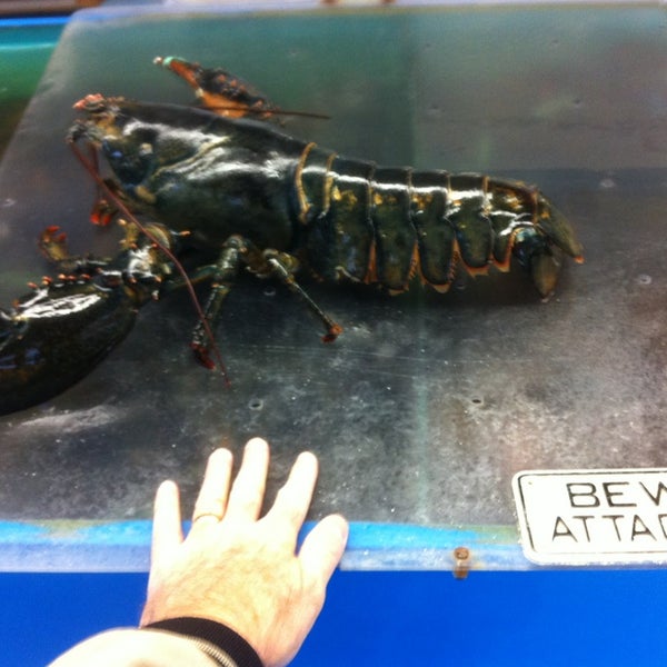 Das Foto wurde bei Cape Tip Seafood &amp; Lobster Market von Jamie B. am 11/9/2013 aufgenommen