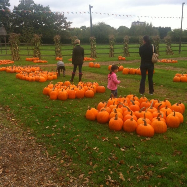 Garden Centres Addlestone Area Fasci Garden