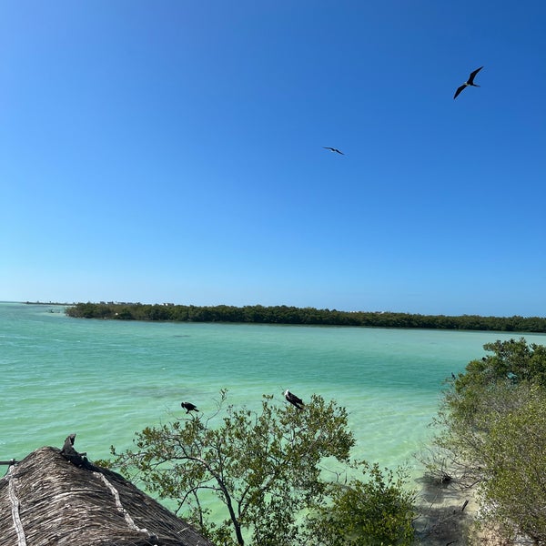 Isla Holbox