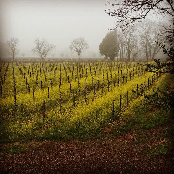 Photo taken at Foppiano Vineyards by Jose D. on 1/25/2015