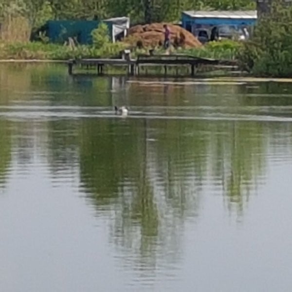 Усадьба деда мороза в кузьминках. Дедово москва. Дедово москва. Дедово москва. Дедушкин пруд.