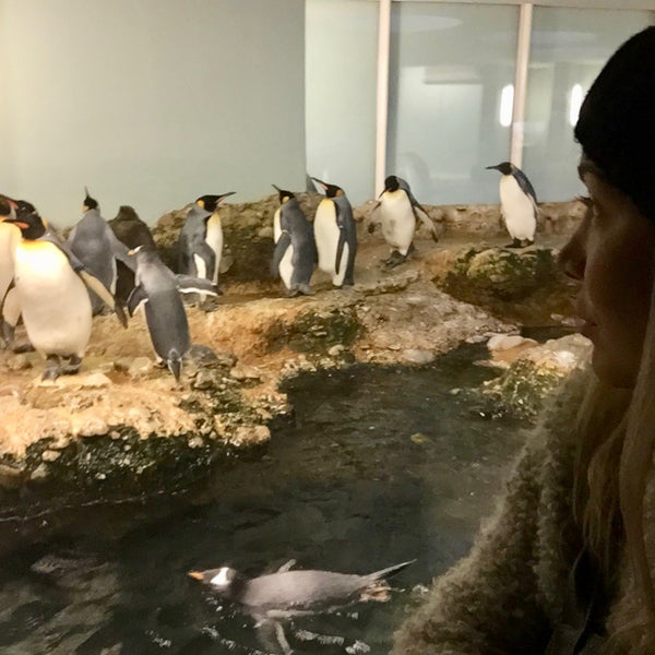 Foto tomada en Zoológico de Basilea  por inci el 12/11/2019