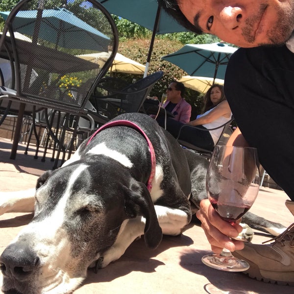8/4/2018にNorio N.がBig Dog Vineyardsで撮った写真
