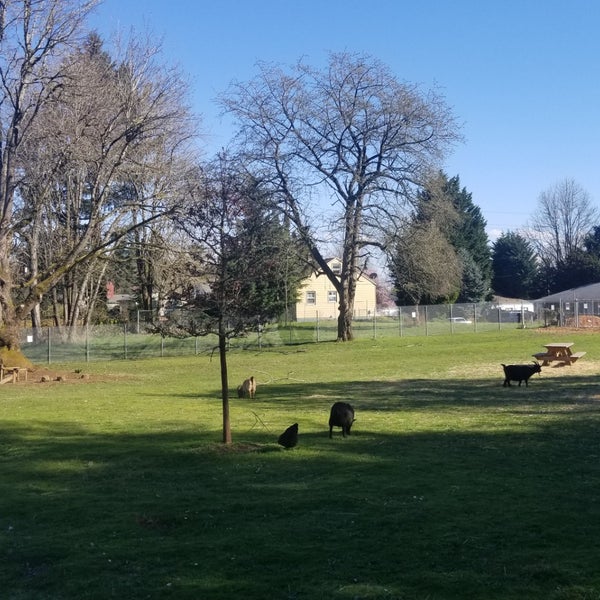 Photo taken at The Belmont Goats by Riane . on 3/30/2019