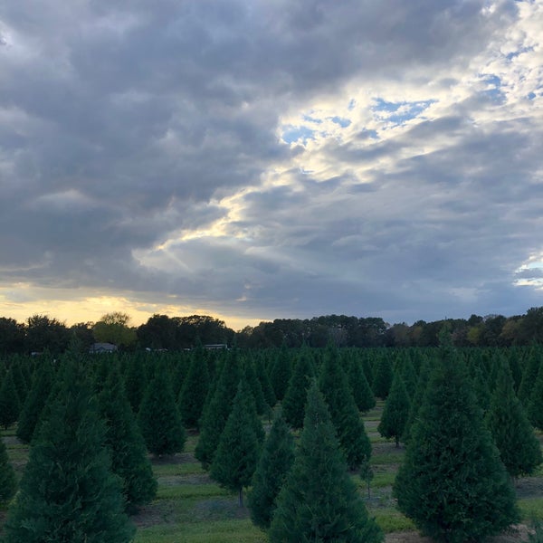 Old Time Christmas Tree Farm 7632 Spring Cypress Rd