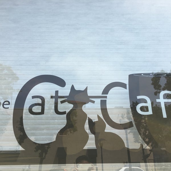 Foto tirada no(a) The Cat Cafe por Damné Jesús P. em 7/23/2016