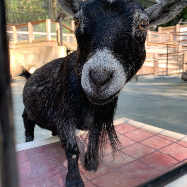 Foto scattata a Brandywine Zoo da Chris il 9/8/2019