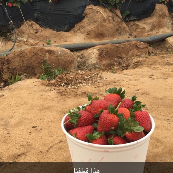 Photo taken at U-Pick Carlsbad Strawberry Co. by Abdullah on 5/20/2016