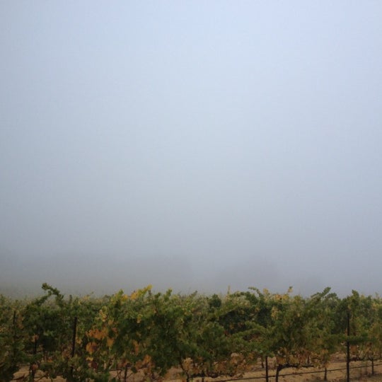 Windsor Oaks Vineyards Windsor, CA