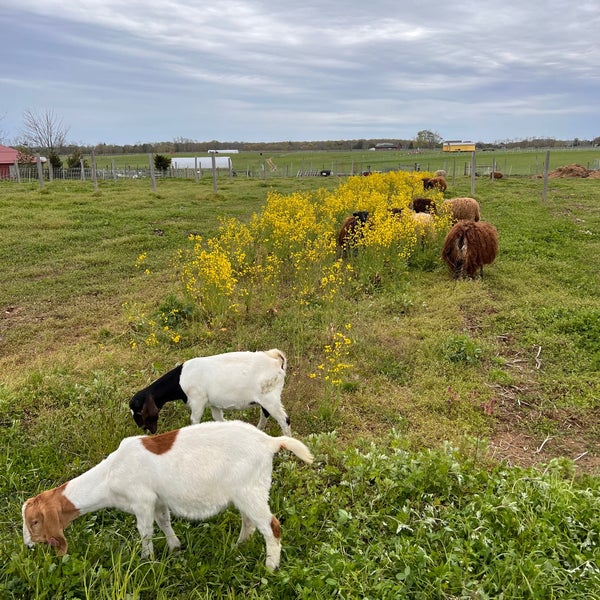 8 Hands Farm Cutchogue, NY