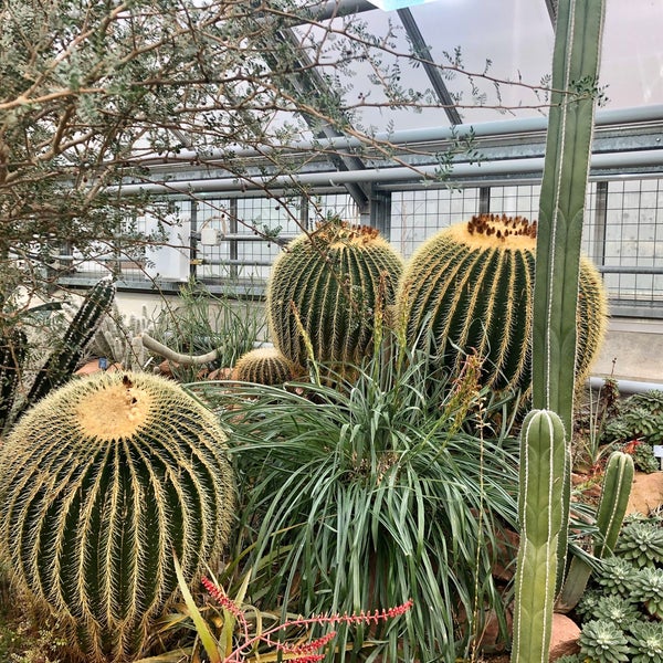 Photos At Botanischer Garten Der Universitat Basel Botanical
