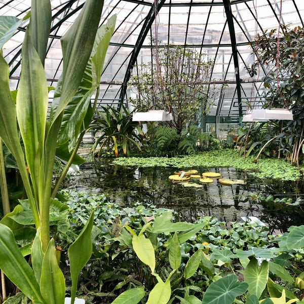 Botanischer Garten Der Universitat Basel Botanical Garden In Basel