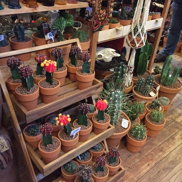 Danny de Cactus Flower Store in Stadsdriehoek