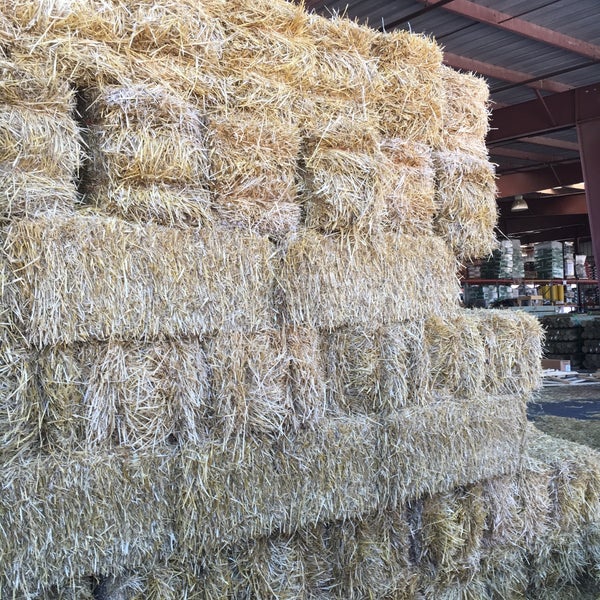 Murdoch's Ranch & Home Supply Littleton, CO