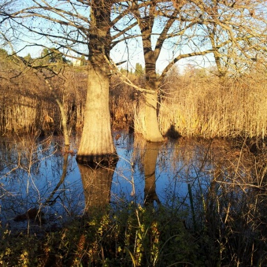 Etang da Fontmerle Promenade de l'etang