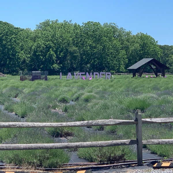 Foto diambil di Lavender By the Bay - New York&#39;s Premier Lavender Farm oleh Patrick C. pada 6/5/2022