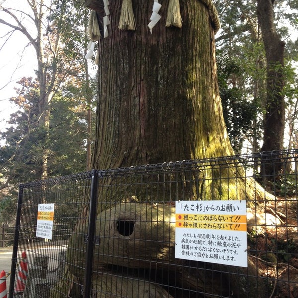 Photos At たこ杉 蛸杉 2 Tips