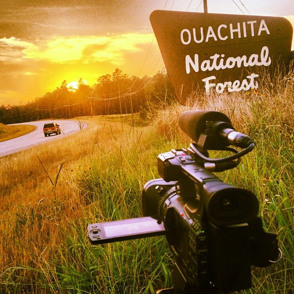 Ouachita National Forest Forest