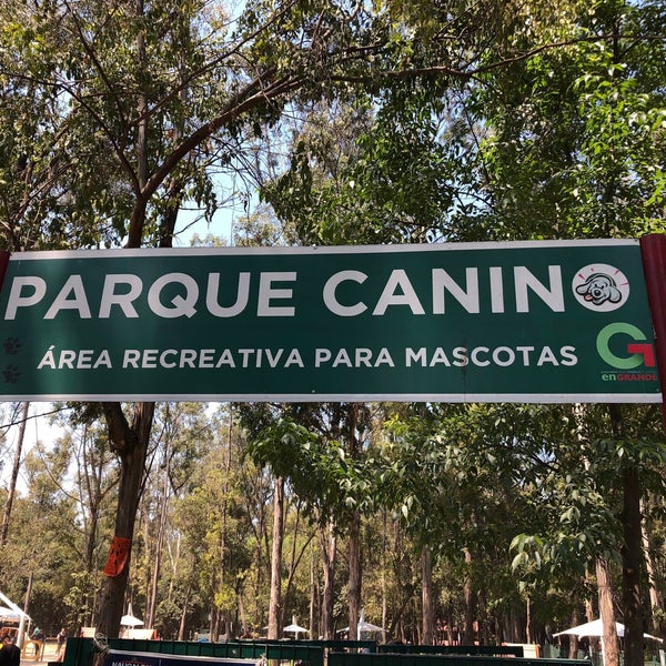 Paraíso canino en el Parque Naucalli