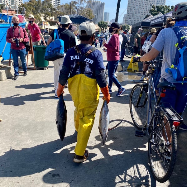 Tuna Harbor Dockside Fish Market Marina 1 tip