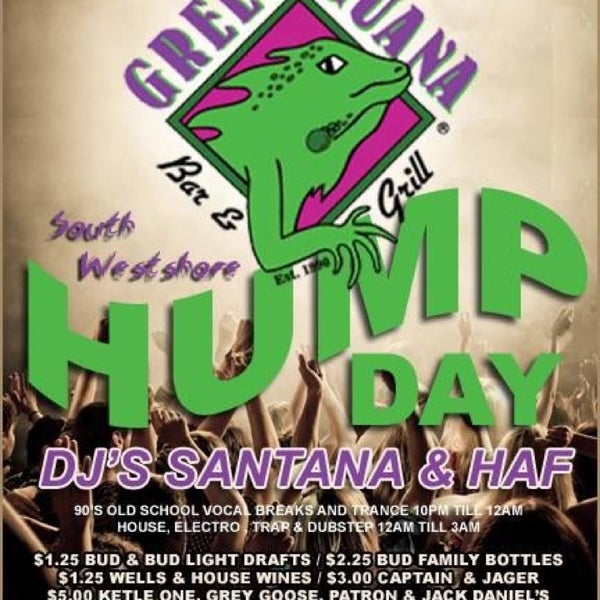 Green Iguana Bar & Grill Dive Bar in Southwest Tampa