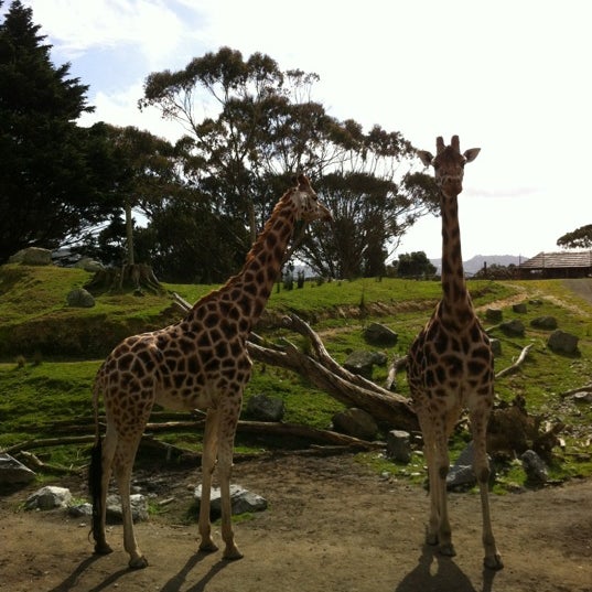 Photo taken at Wellington Zoo by Cherry L. on 9/16/2012