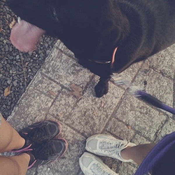 Balara Swimming Pool Quezon City District 4 Quezon City, Quezon City