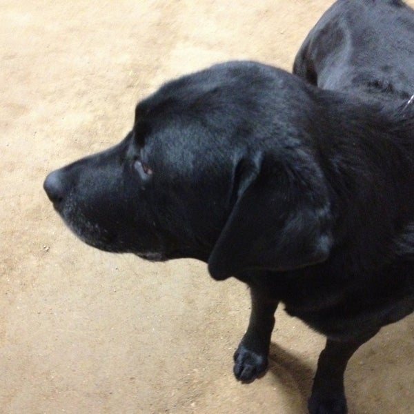 Minnesota Equestrian Center Stable