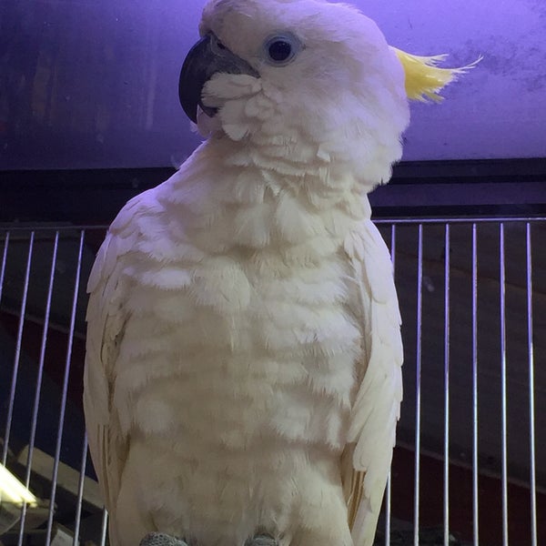 Botanic vitrolles Botanic vitrolles