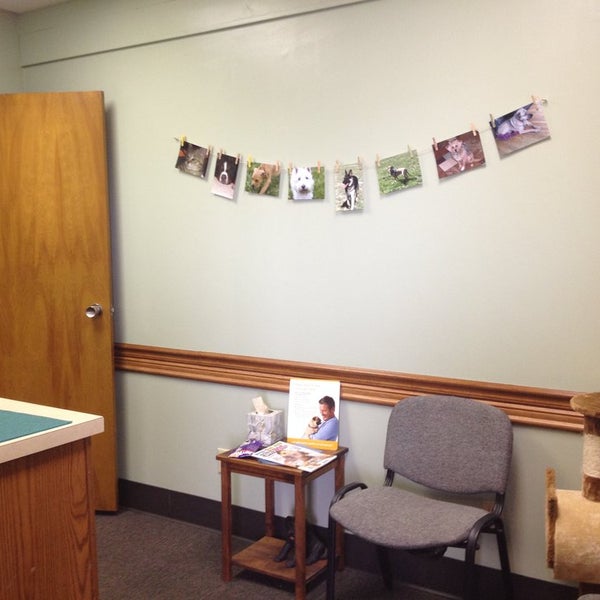 forest park veterinary