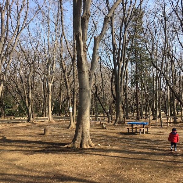Fotos En 光が丘公園 バーベキュー広場 Plaza En 練馬区 Fotos En 光が丘公園 バーベキュー広場 Plaza En 練馬区