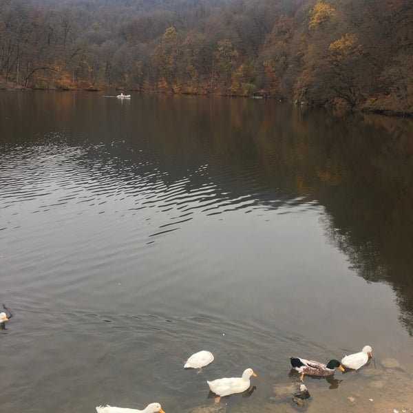 Озеро парз пляж